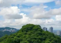 Casa Verde