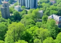 Bosques Urbanos