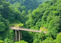 inauguração de bosques nas alças da Ponte Casa Verde