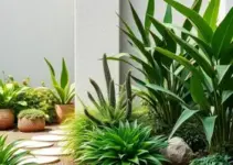 Leve mais verde para sua casa