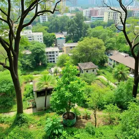 bosques urbanos