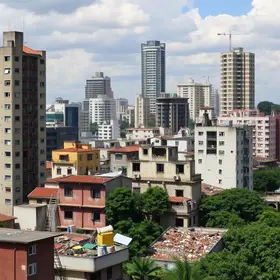 memória negra