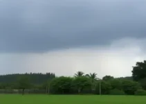 Trilogia da Chuva