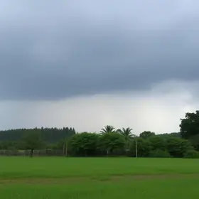 Trilogia da Chuva
